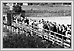  Assiniboine Park Foot Bridge 1915 03-025Thomas Burns Archives of Manitoba